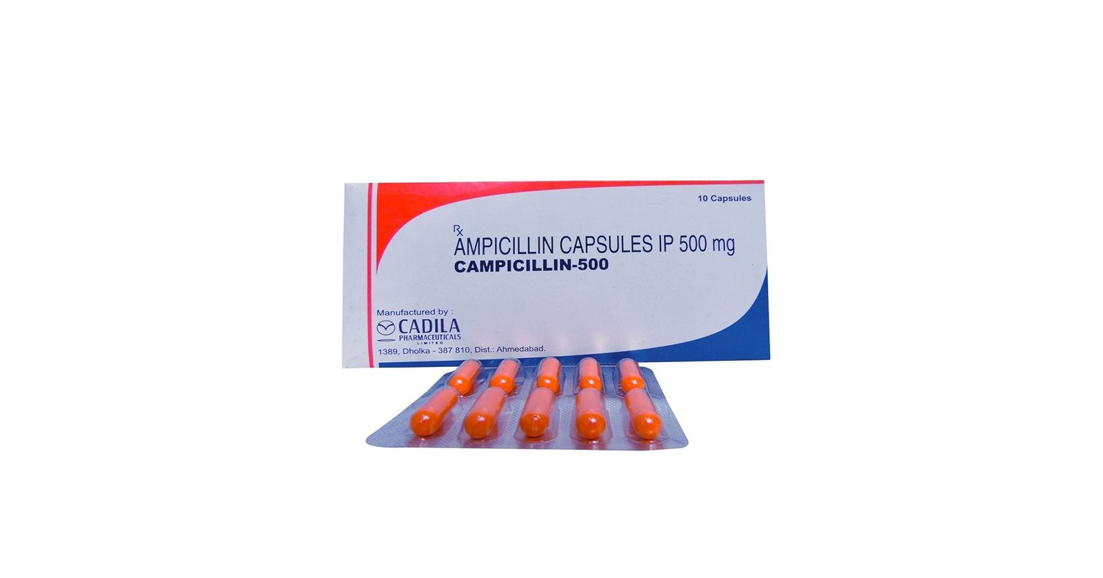 Campicillin - Buy Online